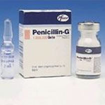 Penicillin 