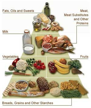 Healthy+food+pyramid+australia+2011