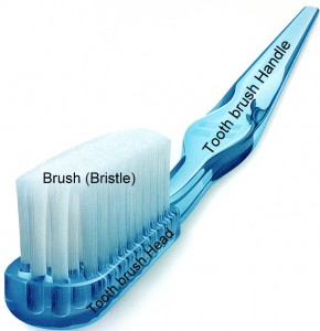 toothbrush